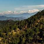 Thumb binsar